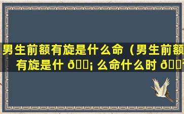 男生前额有旋是什么命（男生前额有旋是什 🐡 么命什么时 🌲 辰出生）